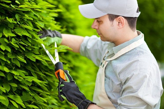 Ogrodnik wykonujący prace w ogrodzie sprzętami BMK Rzeszów